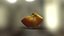Bitten Apple