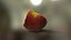 Bitten Apple