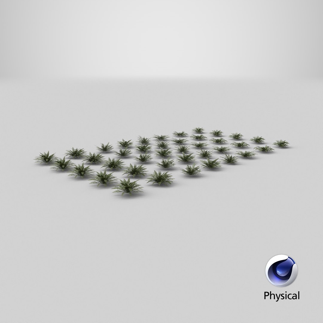 3D model Sword Ferns 01-08 with LODs https://p.turbosquid.com/ts-thumb/Of/sRTIkj/Dq/stemcell_cinema_4d_physical_render/png/1749025838/1920x1080/fit_q87/e45dd292642d8aa7e183f6c2224ac60fd31c1fae/stemcell_cinema_4d_physical_render.jpg