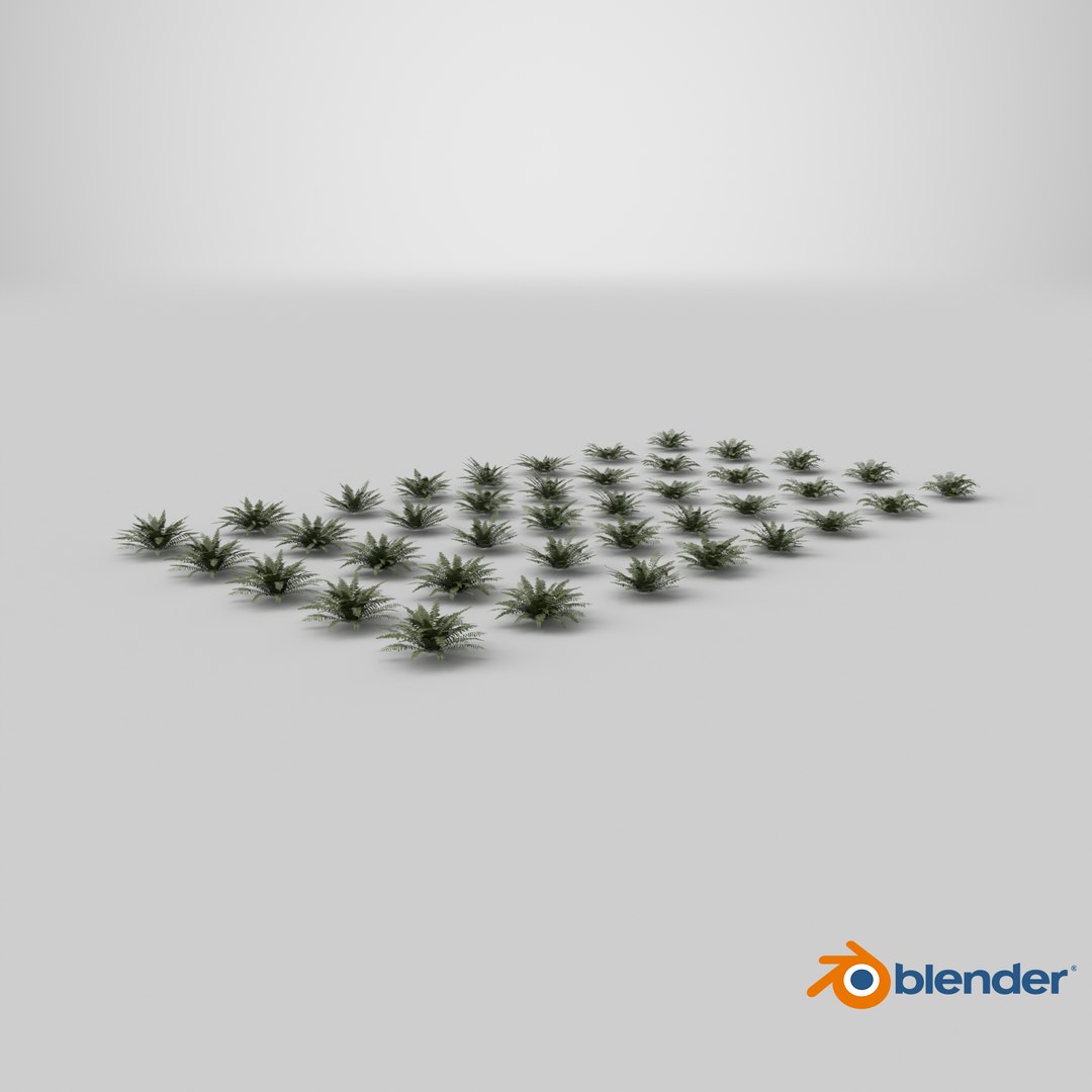 3D model Sword Ferns 01-08 with LODs https://p.turbosquid.com/ts-thumb/Of/sRTIkj/Gn/stemcell_blender_cycles_render/png/1749025831/1920x1080/fit_q87/065be56f5241917761282c3c54a310003ac267dc/stemcell_blender_cycles_render.jpg