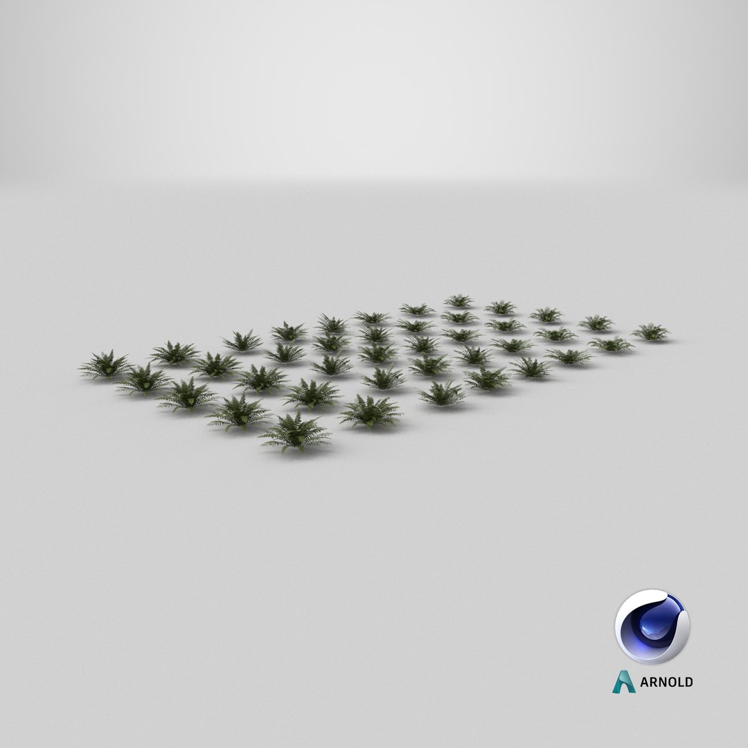 3D model Sword Ferns 01-08 with LODs https://p.turbosquid.com/ts-thumb/Of/sRTIkj/Oz/stemcell_cinema_4d_arnold_render/png/1749025836/1920x1080/fit_q87/ace368eb68e0f3ce2013296ba7c900a94642b43e/stemcell_cinema_4d_arnold_render.jpg