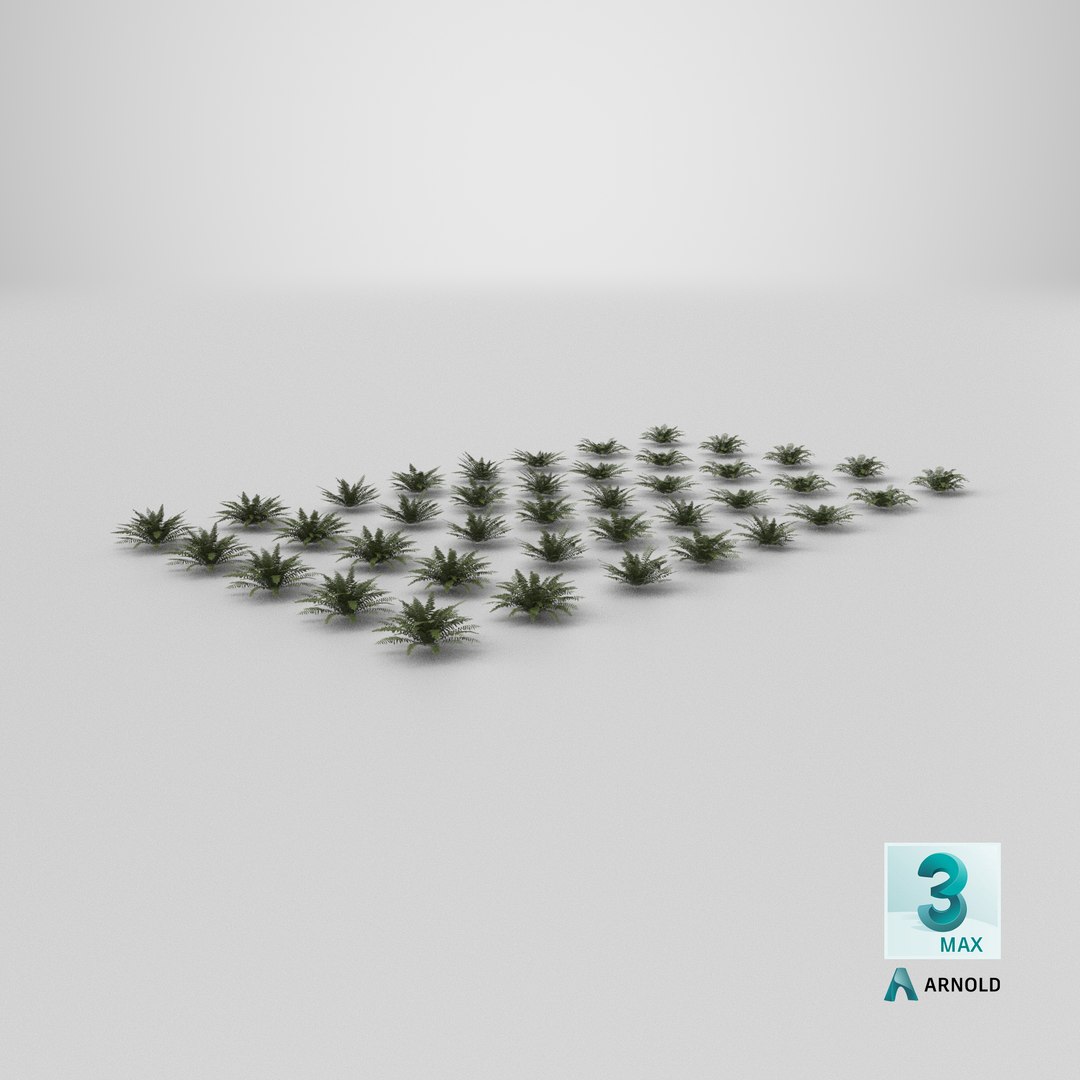 3D model Sword Ferns 01-08 with LODs https://p.turbosquid.com/ts-thumb/Of/sRTIkj/RL/stemcell_max_arnold_render/png/1749025841/1920x1080/fit_q87/1762fb157c6c68cc390ea9c22e38da3c2eec34e7/stemcell_max_arnold_render.jpg