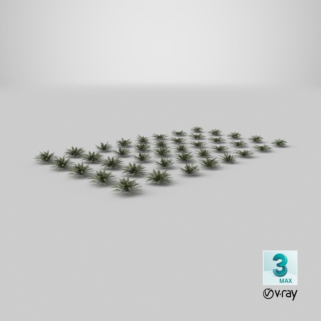 3D model Sword Ferns 01-08 with LODs https://p.turbosquid.com/ts-thumb/Of/sRTIkj/jo/stemcell_max_vray_render/png/1749025839/1920x1080/fit_q87/da58aec4ce2f595fbd6f4cce8d6eaf4cbf2aadd8/stemcell_max_vray_render.jpg