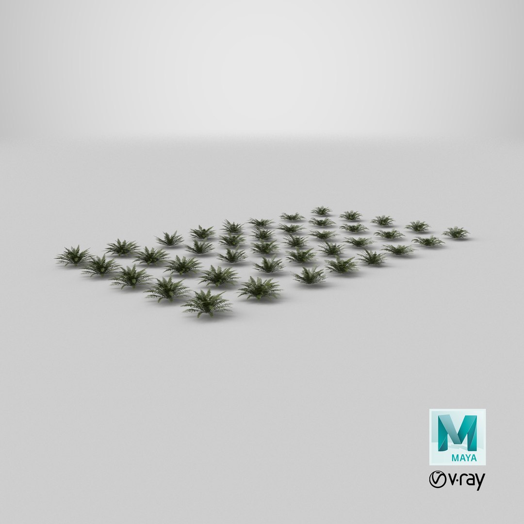3D model Sword Ferns 01-08 with LODs https://p.turbosquid.com/ts-thumb/Of/sRTIkj/lE/stemcell_maya_vray_render/png/1749025834/1920x1080/fit_q87/f81ad49916ba7c82308626db5ce2e437053e8545/stemcell_maya_vray_render.jpg