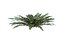 Sword Ferns 01-08 with LODs
