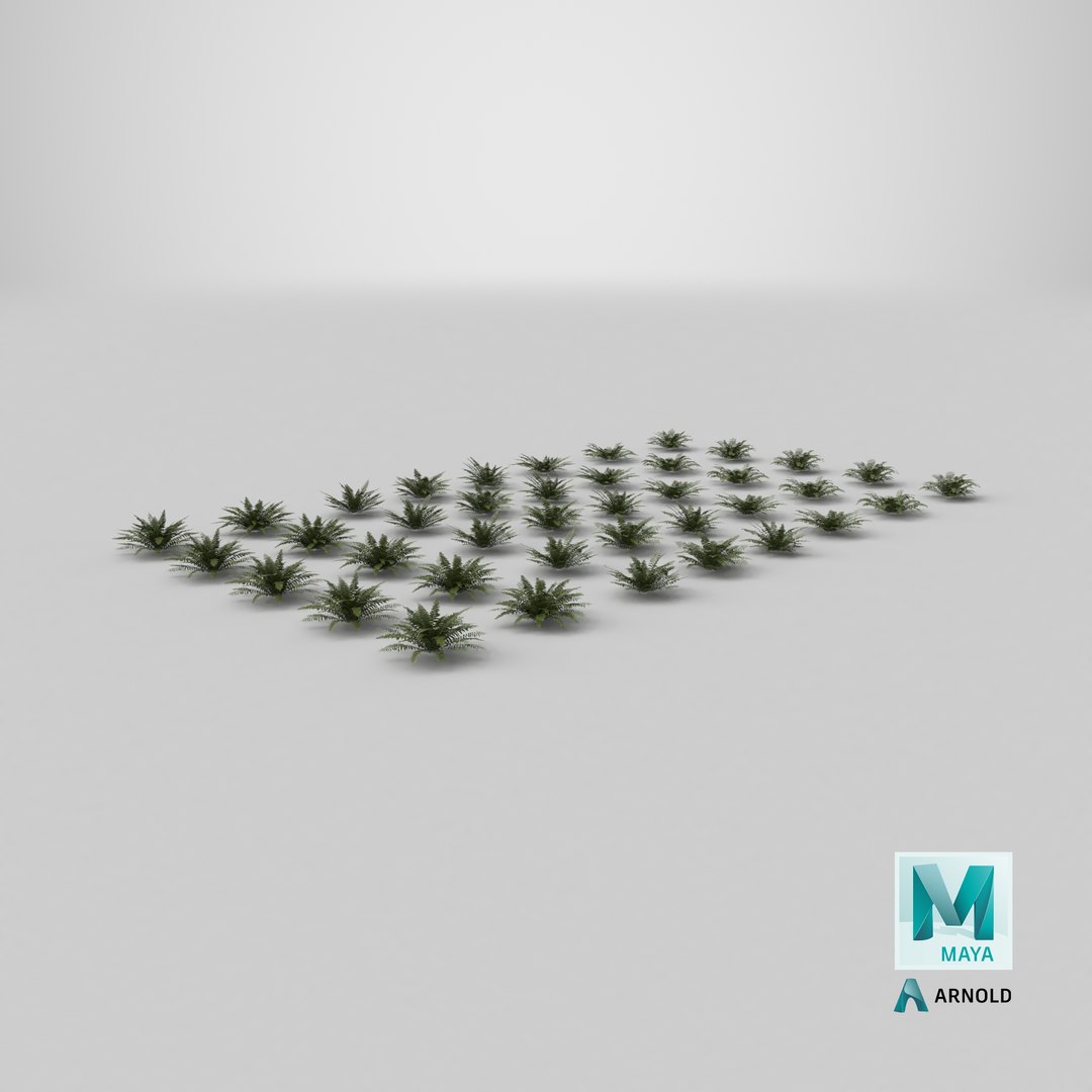 3D model Sword Ferns 01-08 with LODs https://p.turbosquid.com/ts-thumb/Of/sRTIkj/sD/stemcell_maya_arnold_render/png/1749025833/1920x1080/fit_q87/ae8dbd0bf5717cfd4af824f563454d6c529a39ce/stemcell_maya_arnold_render.jpg