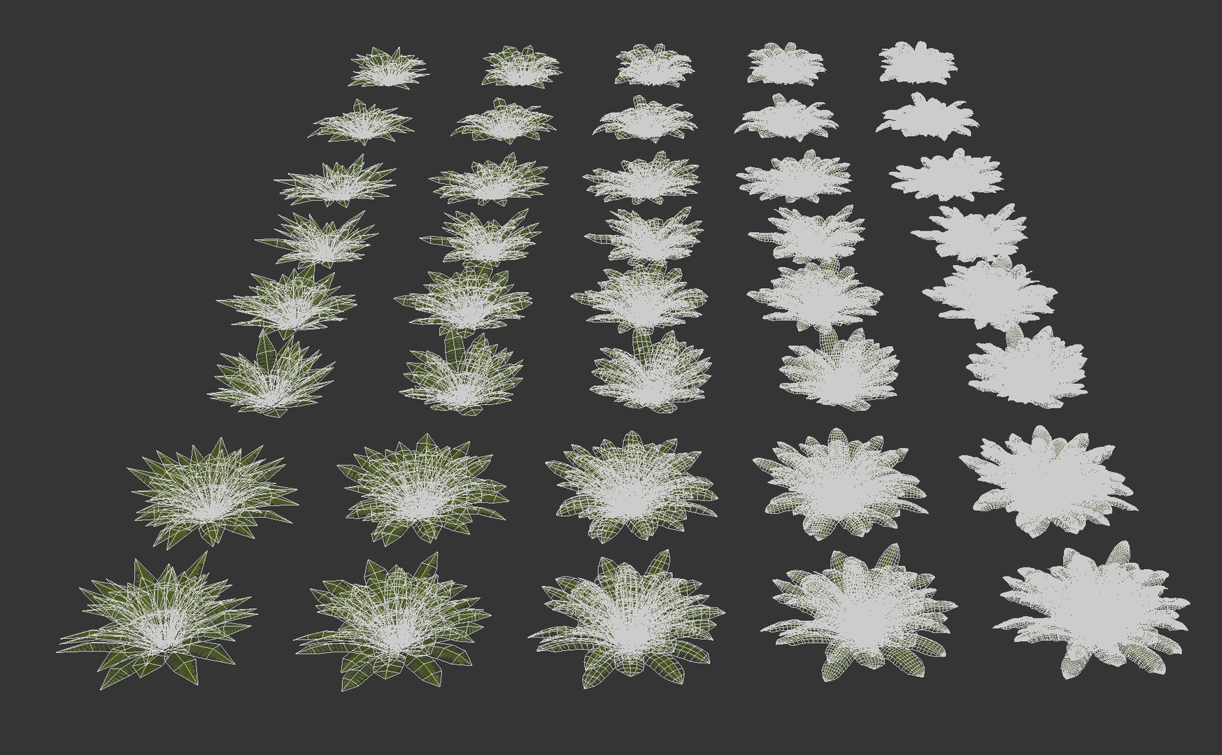 3D model Sword Ferns 01-08 with LODs https://p.turbosquid.com/ts-thumb/Of/sRTIkj/wD/_all/jpg/1748942415/1920x1080/fit_q87/d83119535b8113e5c619dc4fbcecec0d00ed9280/_all.jpg