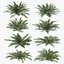 Sword Ferns 01-08 with LODs
