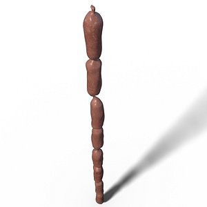 3D model Sausage