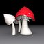 Toadstools