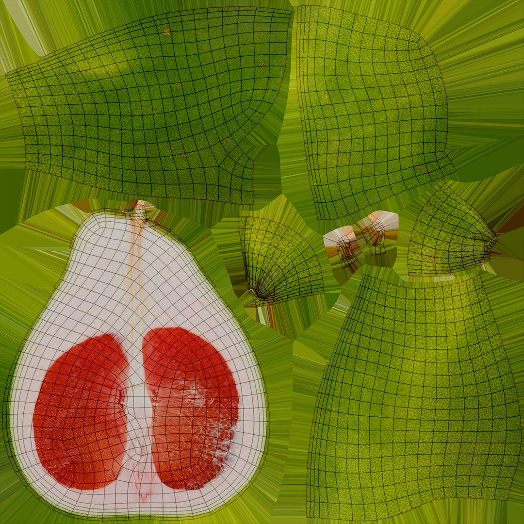 3D Red Pomelo Set https://p.turbosquid.com/ts-thumb/Og/5yXslP/Zv/redpomelohalf_d0004/jpg/1645651048/1920x1080/fit_q87/a1cf4c6bfdd172039e5b5b09dac9a38e51c6b8ec/redpomelohalf_d0004.jpg