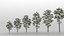 20 pinus nigra trees model