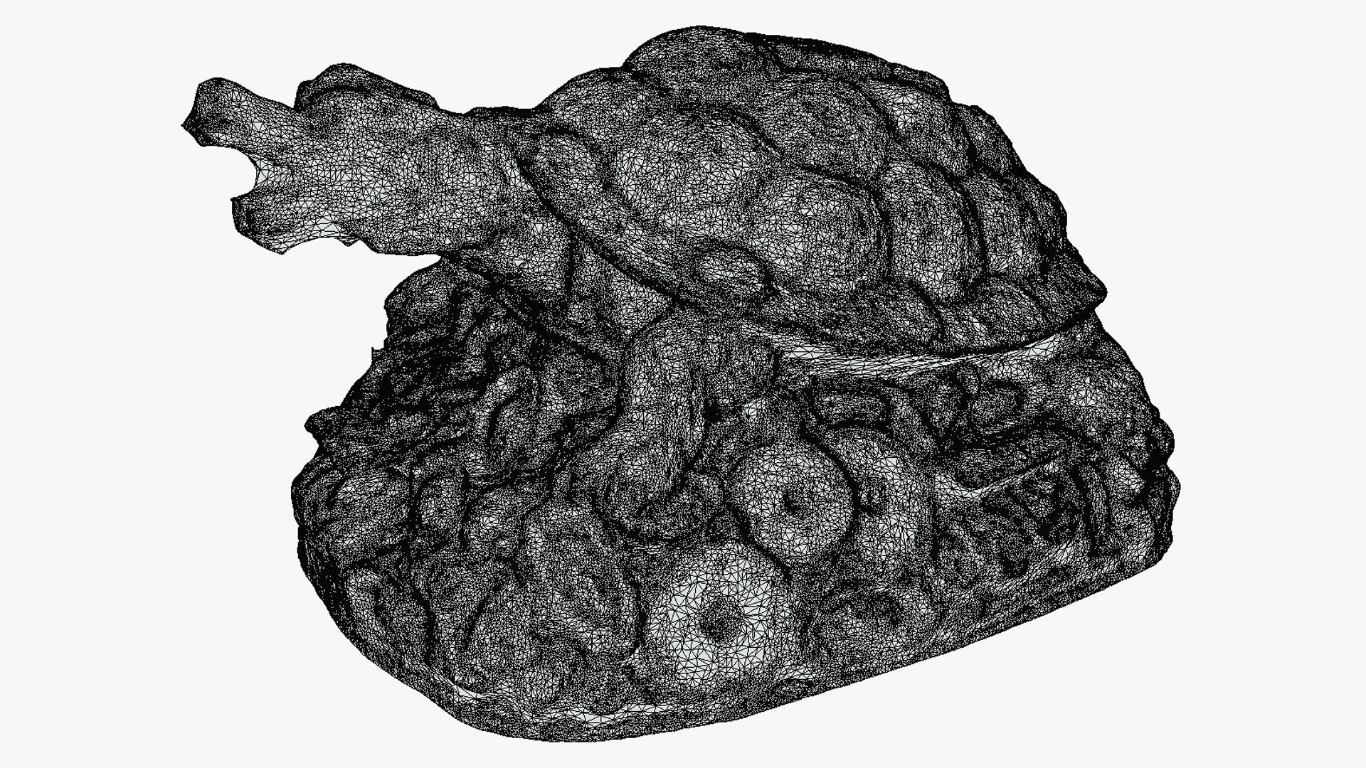 Feng Shui Dragon Turtle 3D model - TurboSquid 2149768