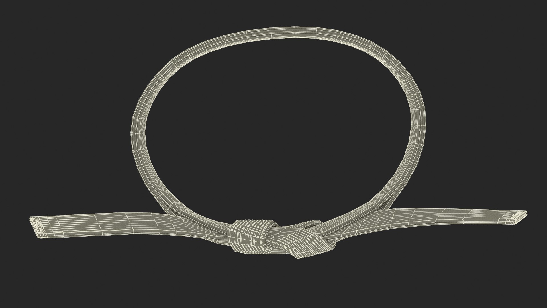 3D model Waist Jiu Jitsu White Belt Obi https://p.turbosquid.com/ts-thumb/Og/LUJ76A/k4/waistjiujitsuwhitebeltobimb3dmodel021/jpg/1696563571/1920x1080/fit_q87/92a3494051d0e7de698af6bdadccb9860fe5fbd0/waistjiujitsuwhitebeltobimb3dmodel021.jpg