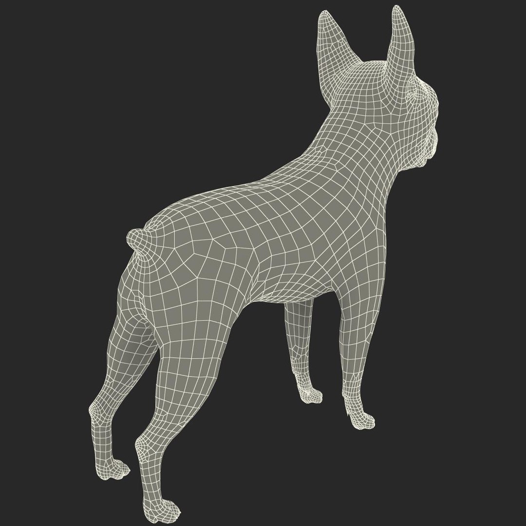 3ds max boston terrier https://p.turbosquid.com/ts-thumb/Og/PFHk4z/0mtUFZfQ/bostonterrier_22/jpg/1388342014/1920x1080/fit_q87/9e0ea7a81fa43e97bedc3e8b5947a7998bdf4396/bostonterrier_22.jpg