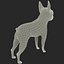 Boston Terrier