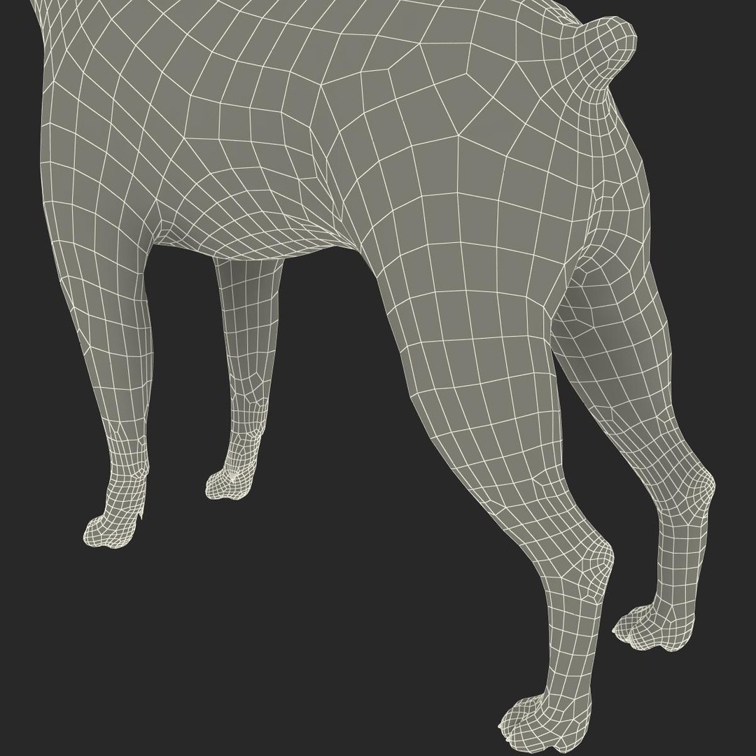 3ds max boston terrier https://p.turbosquid.com/ts-thumb/Og/PFHk4z/1uvmTWzv/bostonterrier_27/jpg/1388342022/1920x1080/fit_q87/9b179294bc4a71ff16215e82d1e772fa4fdbc8a4/bostonterrier_27.jpg