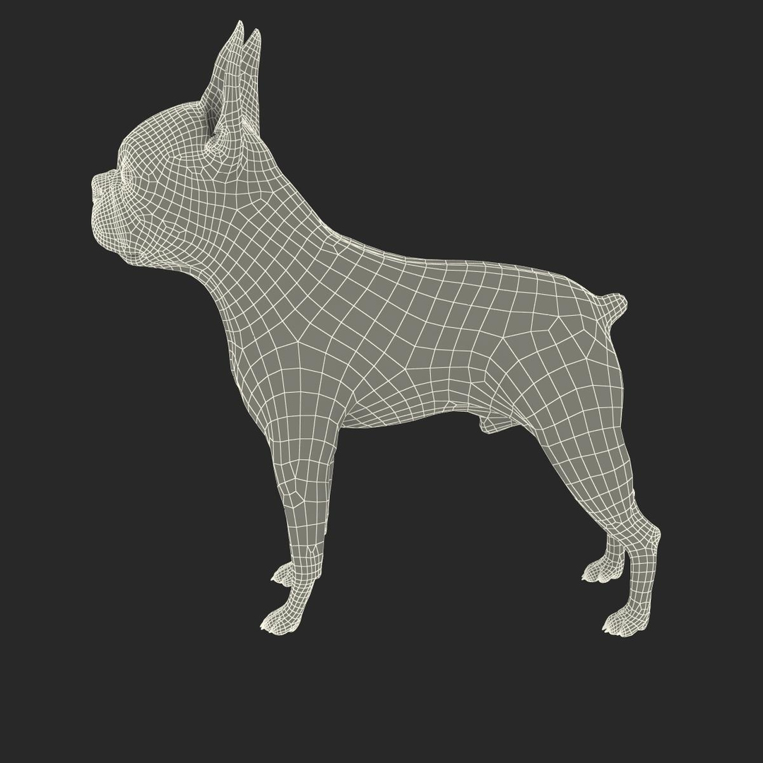 3ds max boston terrier https://p.turbosquid.com/ts-thumb/Og/PFHk4z/6ayx9BRE/turntablefile_361_1.jpga87770e6dca8422da2de4253af8381c9zoom/jpg/1388342255/1920x1080/turn_fit_q99/2b00e1c7ae5caea8b05e1bdd81f80ed7e404a317/turntablefile_361_1.jpga87770e6dca8422da2de4253af8381c9zoom-1.jpg