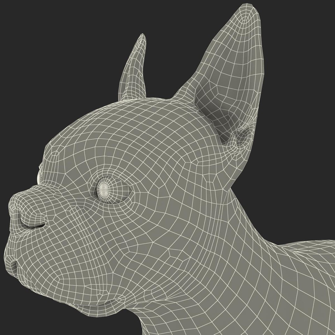 3ds max boston terrier https://p.turbosquid.com/ts-thumb/Og/PFHk4z/EJQkDLh2/bostonterrier_24/jpg/1388342014/1920x1080/fit_q87/9b232631aed42e93bf83b43f923fe64e1aab4fe2/bostonterrier_24.jpg