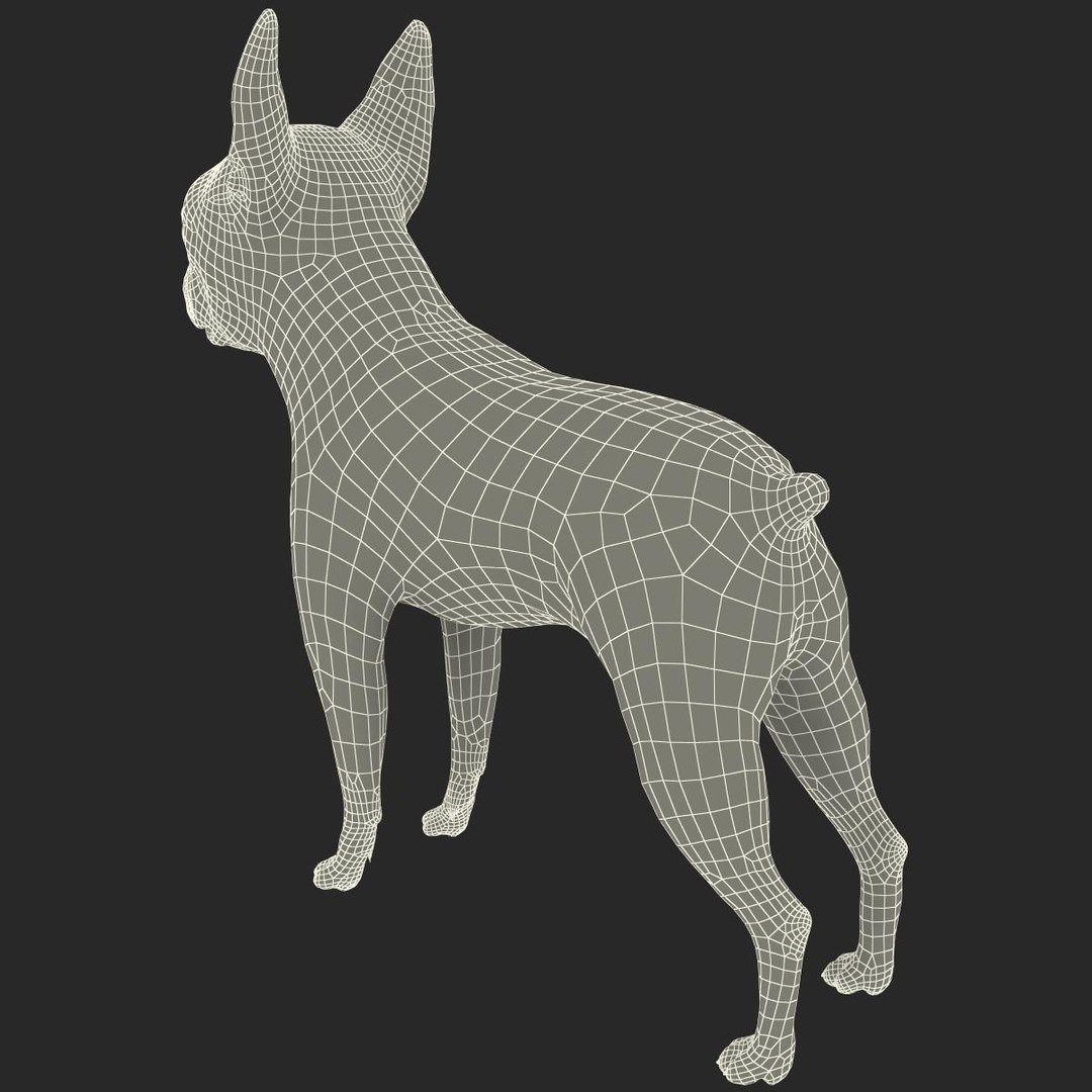 3ds max boston terrier https://p.turbosquid.com/ts-thumb/Og/PFHk4z/KDqGfuqB/bostonterrier_23/jpg/1388342017/1920x1080/fit_q87/307c12da1821645bbea67f6af05cad7b825b54a3/bostonterrier_23.jpg