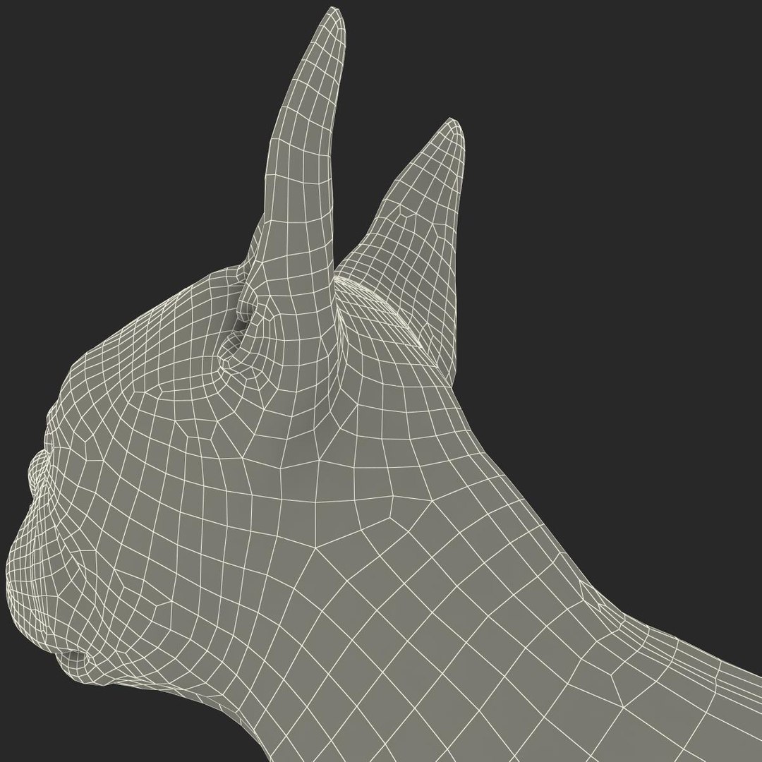 3ds max boston terrier https://p.turbosquid.com/ts-thumb/Og/PFHk4z/KZk9lq4r/bostonterrier_29/jpg/1388342034/1920x1080/fit_q87/d87580b06ed97caec0911cd797fdb0f42385018b/bostonterrier_29.jpg