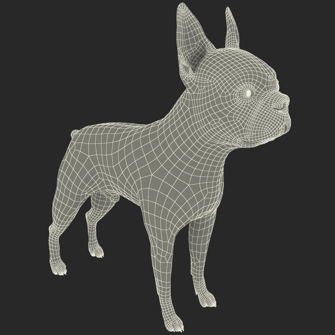 3ds max boston terrier https://p.turbosquid.com/ts-thumb/Og/PFHk4z/a0Z0bdIR/bostonterrier_20/jpg/1388342007/1920x1080/fit_q87/996e0f475d954342575a57232c6f418bbad770d1/bostonterrier_20.jpg