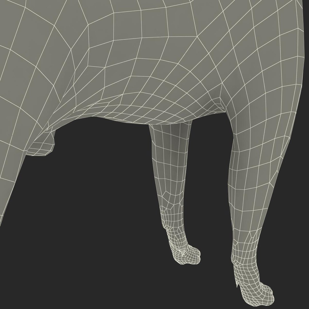 3ds max boston terrier https://p.turbosquid.com/ts-thumb/Og/PFHk4z/h67aIxSt/bostonterrier_28/jpg/1388342030/1920x1080/fit_q87/8d30dec4a0905f51370261b33e2cb8193cc870e1/bostonterrier_28.jpg
