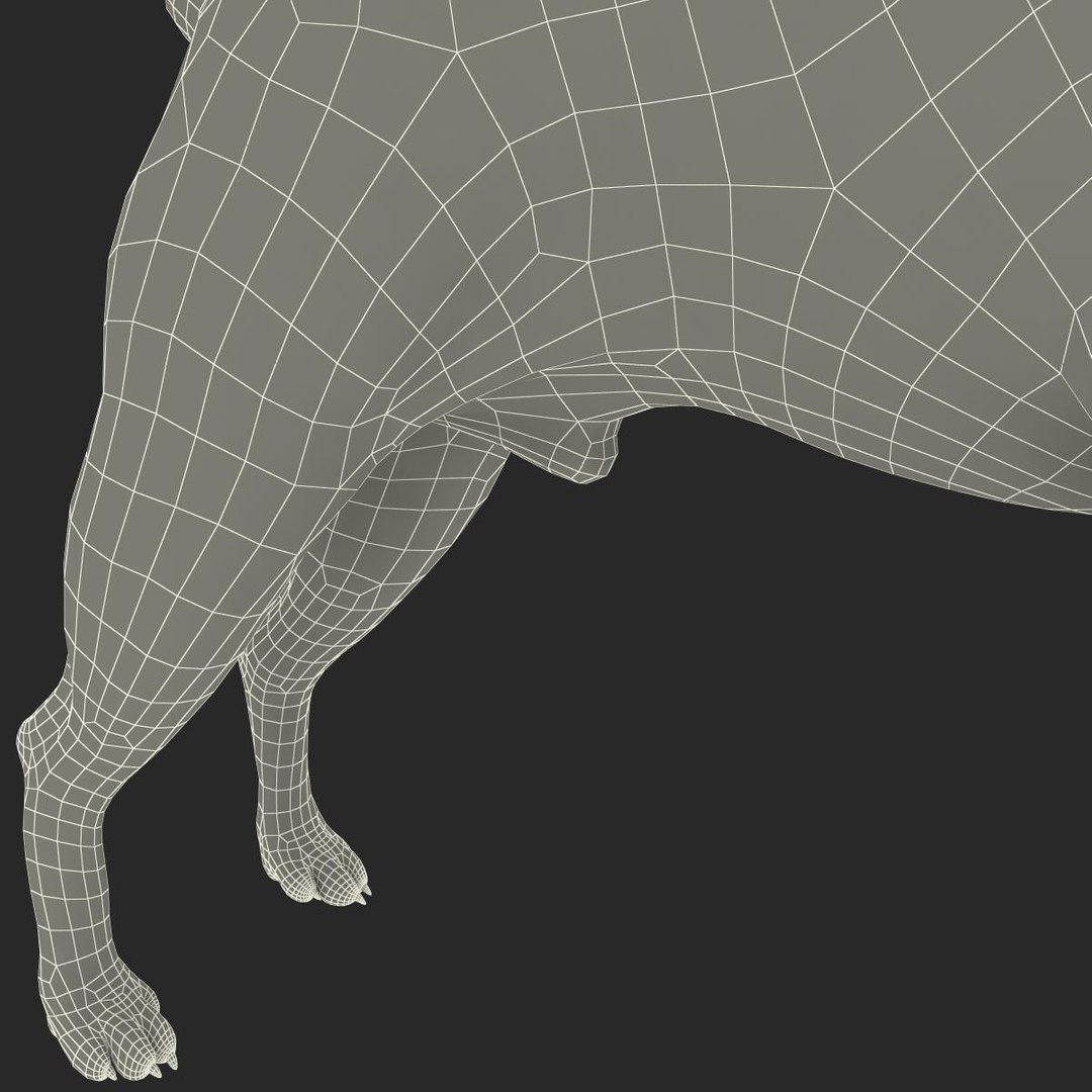 3ds max boston terrier https://p.turbosquid.com/ts-thumb/Og/PFHk4z/lpRyIepK/bostonterrier_26/jpg/1388342019/1920x1080/fit_q87/e8557447195ab2a9e591ac0136a7b47e3f32be5b/bostonterrier_26.jpg
