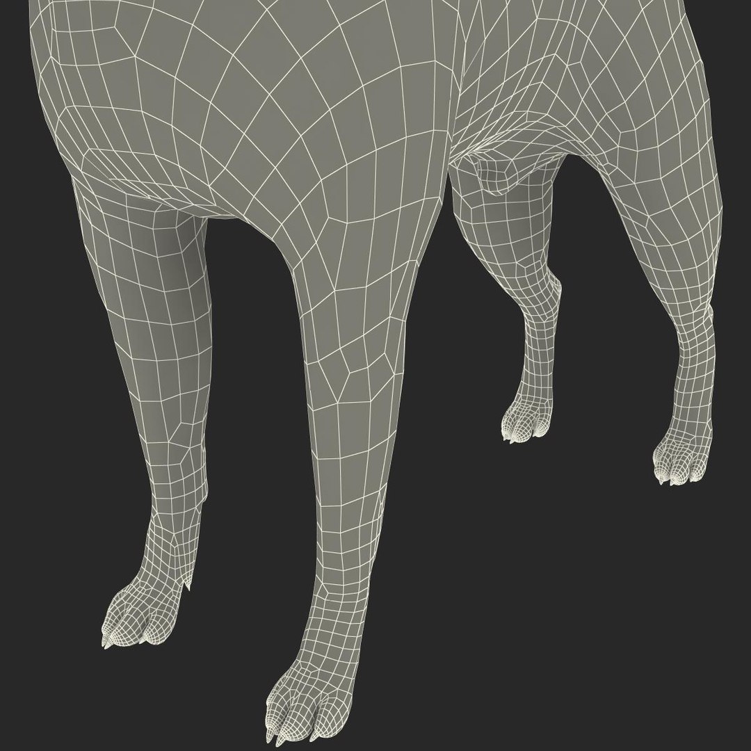 3ds max boston terrier https://p.turbosquid.com/ts-thumb/Og/PFHk4z/pWTaeq89/bostonterrier_25/jpg/1388342022/1920x1080/fit_q87/d77e0057131e1fe0af082924a44db72c448975a8/bostonterrier_25.jpg