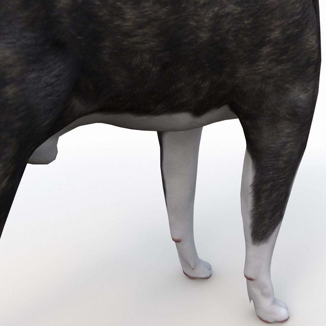 3ds max boston terrier https://p.turbosquid.com/ts-thumb/Og/PFHk4z/qPoEkxbx/bostonterrier_16/jpg/1388341988/1920x1080/fit_q87/54ad5f148fc13e84b385cedb8280759f3d2997b5/bostonterrier_16.jpg