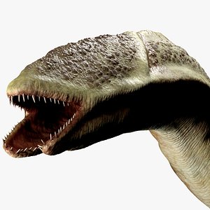 Giant Worm Creature