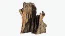 Tree Trunk Piece 16