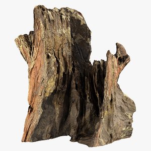 Tree Trunk Piece 16