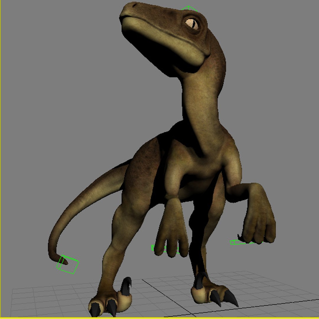 3d Raptor Model