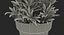 rosemary plant pot 3D model