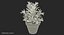 rosemary plant pot 3D model