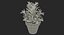 rosemary plant pot 3D model