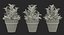 rosemary plant pot 3D model