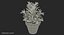 rosemary plant pot 3D model