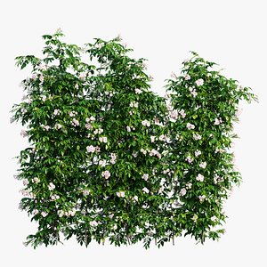 3D model plant set 35