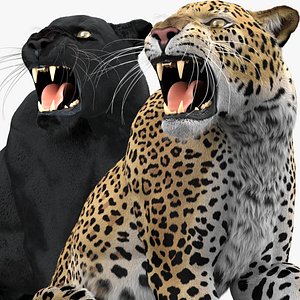 3D model leopard panther pack fur