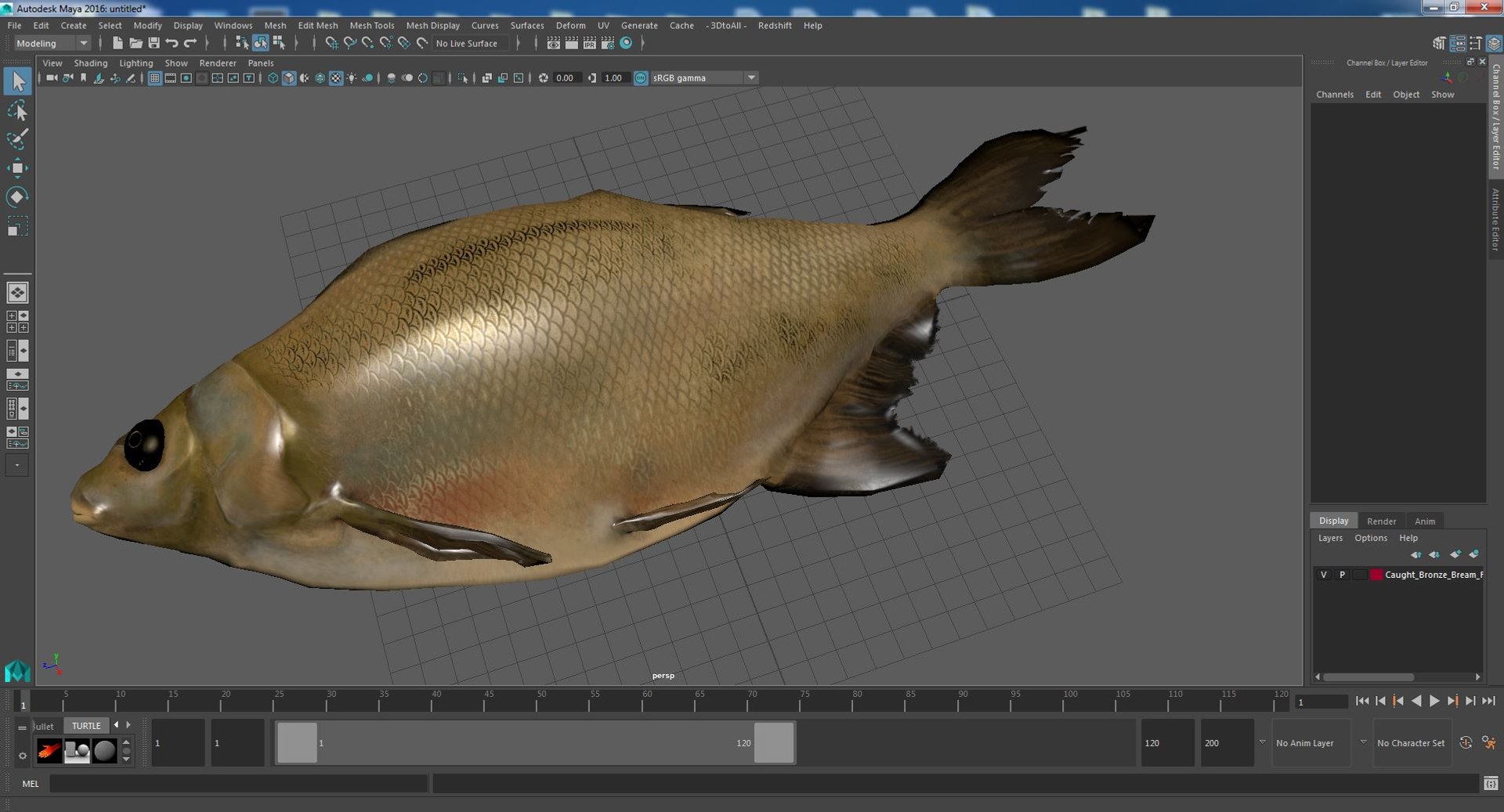 3D Model Caught Bronze Bream Fish Lying - TurboSquid 2158212