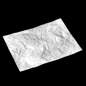 wrinkled paper 3d model