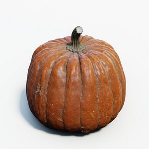 3D Halloween old pumpkin ZB high model model
