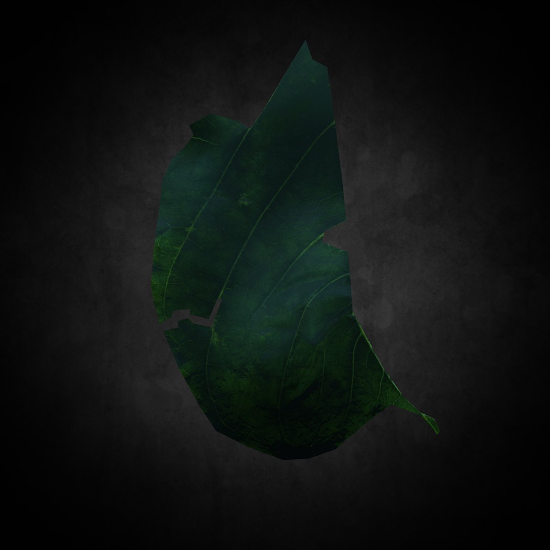 3D leaf https://p.turbosquid.com/ts-thumb/Oh/gHZmBM/1P4sBITS/004/png/1599541876/1920x1080/fit_q87/4e2fb1ac12ce6cc5f7180c6abd6c8954bad99c03/004.jpg