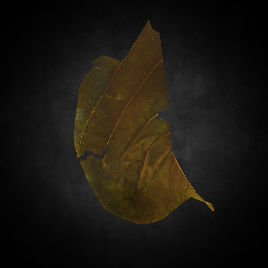 3D leaf https://p.turbosquid.com/ts-thumb/Oh/gHZmBM/P9DvGGYd/002/png/1599541876/1920x1080/fit_q87/3769e726754984dc8917693208b14d2b8f016725/002.jpg