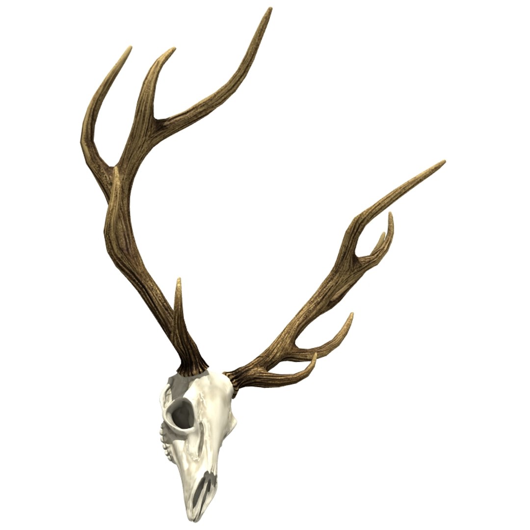3d hunting trophy https://p.turbosquid.com/ts-thumb/Oh/lrXaUs/7Tdyd9B3/huntingtrophy_th004/jpg/1425858251/1920x1080/fit_q87/7947073f706ce1bf1db29915962a43edbfc86ef2/huntingtrophy_th004.jpg