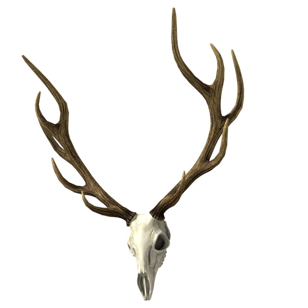 3d hunting trophy https://p.turbosquid.com/ts-thumb/Oh/lrXaUs/yI2CGAkB/huntingtrophy_th002/jpg/1425858251/1920x1080/fit_q87/871ef1f697e73de77f1bf2cb4325554279f5cce3/huntingtrophy_th002.jpg