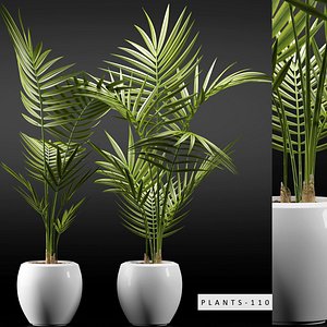 plants 110 model