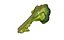 Half Broccoli